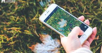 手机看片国产日韩,国产日韩影视作品精选盘点